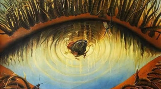 Trắc nghiệm: Bạn có phải người thường xuyên được vận may ưu ái?