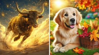 Từ 1/11- 10/11 âm: 3 tuổi Tiền Quấn Vào Chân, Công Danh Lừng Lẫy