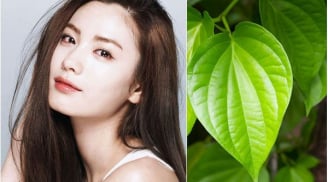 Cách làm chậm các dấu hiệu lão hóa sớm với lá trầu không