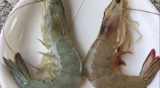 Người bán tôm tiết lộ: Cách phân biệt tôm nuôi và tôm tự nhiên cực dễ, ai cũng làm được