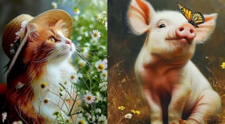 Sau ngày 22/12, 3 tuổi Dễ Mất Tiền vì Cả Tin, 1 tuổi Đặc Biệt chú ý Sức khỏe