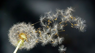 Càng sớm từ bỏ 3 điều này, bạn càng nhanh chạm tay vào hạnh phúc, càng già lại càng vui