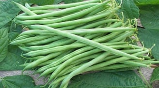 Loại đậu này rất giàu canxi, tốt cho xương khớp và chức năng gan thận