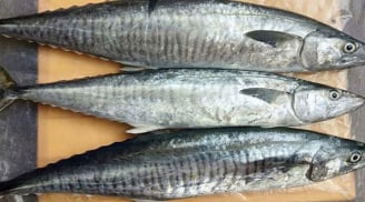 Top 5 loại cá có nguy cơ chứa nhiều thủy ngân nhất: Đi chợ rẻ mấy cũng không nên mua nhiều