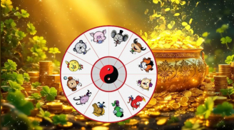 7 ngày cuối năm Dương Lịch: Có con giáp càng liều càng Nhiều Tiền, có tuổi phải đứng yên kẻo mất lộc