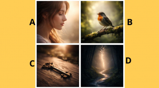 Quiz: Chọn 1 hình ảnh mà bạn chú tâm sẽ tiết lộ vì sao vận may chưa tìm đến