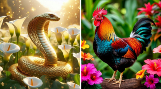 Sau ngày 24/12: 3 tuổi Đủng Đỉnh Tiền Về, Giàu Sang Thẳng Tiến