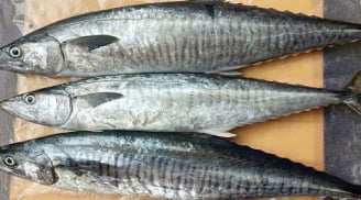 Top 4 loại hải sản được xếp vào nhóm có hàm lượng thủy ngân cao, ai cũng nên biết