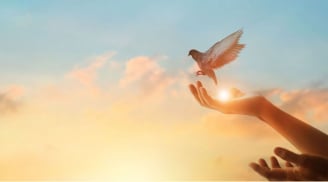 Người xưa dặn “nhìn xa trông rộng”, nhưng rốt cuộc vẫn phải thuận tự nhiên: Bài học càng lớn tuổi càng thấm