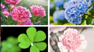 Quiz vận mệnh: Tháng này vũ trụ đang ưu ái bạn điều gì nhất?