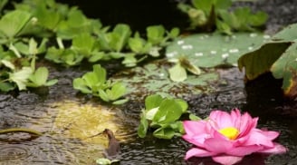 3 điều không nên cười trong cuộc sống theo lời nhà Phật dạy - kim chỉ nam về cách ứng xử đúng đắn