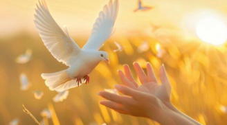 Tưởng là tốt nhưng càng làm càng giảm phước: 5 kiểu sống đang âm thầm bào mòn vận may