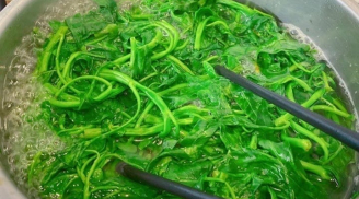 Khi luộc rau có nên cho muối không? Lời giải đáp đúng giúp rau xanh hơn, giữ trọn dinh dưỡng