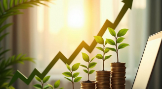 Năm Bính Ngọ 2026: 3 tuổi hợp Vận Kinh Doanh, buôn may bán đắt, lộc lá về đều