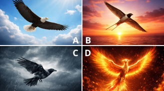 Quiz: Chọn 1 hình ảnh cánh chim sẽ hé lộ tuổi già của bạn an nhàn giàu sang hay chật vật khốn cùng?