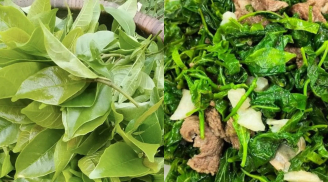 Rau mít rừng – Hương vị núi rừng trong bữa cơm người Mường Phú Thọ
