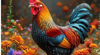 15 ngày liên tiếp (11/1-25/1/2026): 3 tuổi Bỗng Dưng có Lộc Quý Nhân, tình cảm thăng hoa