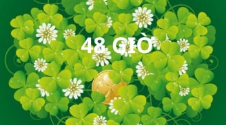 48 giờ tới: 2 tuổi Phá Kén Vút Bay, Tài lộc bất ngờ, 1 tuổi nhận thưởng ngoài dự tính