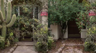 5 loại cây không nên trồng trước cửa nhà: Nhiều gia đình vẫn giữ mà không biết rủi ro tiềm ẩn