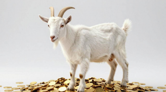 Gà gáy sang canh, từ 0h ngày 1/1/2026, 3 tuổi hóa thành Rồng Phượng, Tiền Tài về như thác đổ