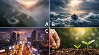 Quiz: Chọn 1 hình ảnh bạn thấy “đã mắt” sẽ tiết lộ biết mức độ Dám Mạo Hiểm để Làm Giàu