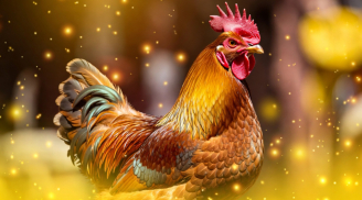 Tháng đầu năm mở cung Tài Bạch: 3 con giáp đón vận may tiền bạc, thu nhập tăng bất ngờ