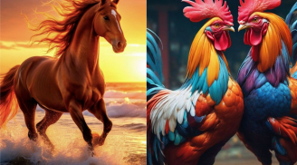 Thứ Bảy, Chủ Nhật (10-11/1): 2 tuổi trúng vận vàng, 2 tuổi đi chơi lại gặp cơ hội hiếm có