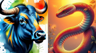 2 con giáp càng lớn tuổi càng Vượng Lộc, 1 tuổi Giàu sớm nhưng về già dễ lận đận