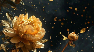 3 con giáp nửa đời Phù Hoa, Giàu có nhưng mệt mỏi, từ trung niên sống Giản dị thì vận mệnh sang trang