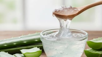 5 lý do lô hội là 'thần dược' làm đẹp nên bổ sung vào chu trình chăm sóc da