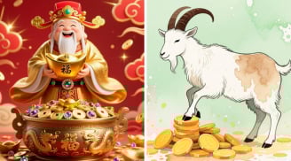 Từ 1/1 đến 10/1/2026, 3 tuổi Đắc Tài Đắc Lộc, đầu năm bơi trong biển tiền