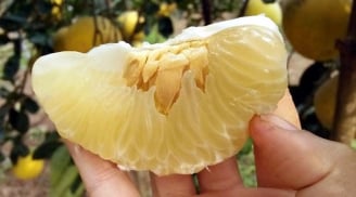 Mẹo chọn bưởi ăn Tết 10 quả thơm ngọt như 10