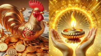 Top 3 con giáp Tiền - Vàng bao quanh, số 1 Lộc nhất