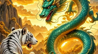  Từ 20/11 đến Tết Bính Ngọ: Khó khăn lại thấy Cơ Hội, 3 tuổi vượt nghịch cảnh, Thần Tài vội vàng ban lộc lớn