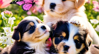 3 con giáp càng Im Lặng trước Khen Chê thì càng Vững Vàng, cuộc sống càng giàu có vui vẻ