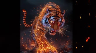 4 tuổi phải đi qua nhiều Chông Chênh mới thấy Yên Ổn, kiên trì hậu vận sẽ tốt, chớ buông xuôi