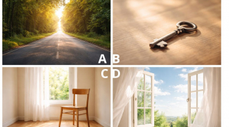 Quiz: Hình ảnh nào thu hút bạn đầu tiên? Điều đó nhắc nhở thứ bạn cần buông bỏ để giàu có hạnh phúc