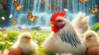 10 ngày cuối tháng 11 âm lịch: 3 tuổi Phúc Lộc Tứ Bề, kinh doanh thắng lớn, dân văn phòng thưởng to