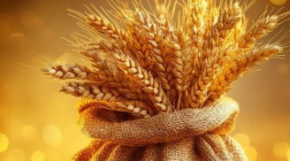 Sau đêm nay, 3 tuổi bước vào giai đoạn tăng tốc: Vàng son phủ đầy, nhanh chân sẽ giàu