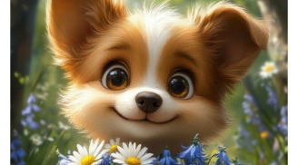 Biết nhún nhường đúng lúc, 3 con giáp này gặp họa nhỏ nhanh qua, tránh được họa lớn