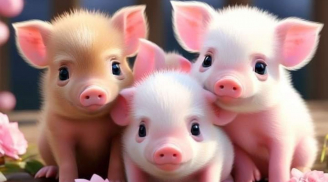 Hoạ phúc khó lường: 40 ngày cuối năm Ất Tỵ, 3 tuổi càng bình tĩnh trước Khó Khăn thì càng giữ được lộc