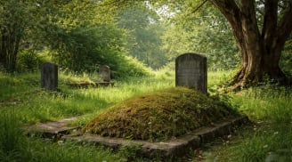 Người xưa nhắc Cỏ Cây Quanh Mộ là Tín Hiệu phải lưu tâm, chú ý để giữ Phúc Lộc cho con cháu