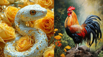 Thứ Tư, Năm, Sáu (7–9/1): 3 tuổi được Quý Nhân gỡ khó, 1 tuổi thuận đàm phán mở lối tiền tài