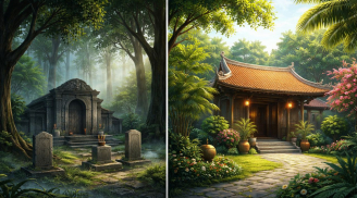 Vì sao người xưa rất sợ trồng cây dương ở nhà âm, cây âm ở nhà dương?