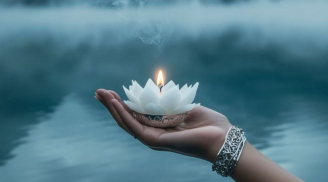 2 tuổi có khả năng Tự Chữa Lành cao, 1 con giáp lại luôn cần sự an ủi từ bên ngoài