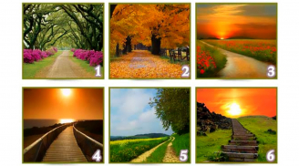 Quiz: Con đường bạn chọn sẽ nói lên sự thành công của bạn trong tương lai?