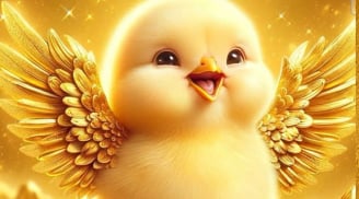 Từ 9/1, 2 tuổi tới kỳ bung lụa Lương Thưởng Khởi Sắc, 1 tuổi cứ bình tĩnh sẽ có phần