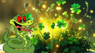 Từ đêm nay đến 1/12 âm lịch: 3 con giáp này dễ nhận Tin Vui Bất Ngờ, cục diện xoay nhanh