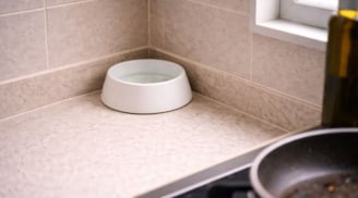 Cách khử mùi dầu mỡ trong bếp chỉ bằng một bát nước, không cần máy hút mùi