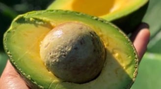 6 thực phẩm giúp làn da sáng mịn từ bên trong